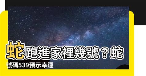 蛇跑進家裡幾號|家裡有蛇代表什麼？5種吉兆解析